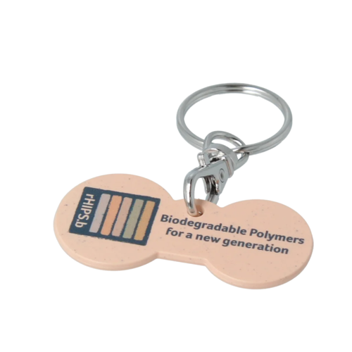 rHIPS.b Multi Euro Trolley Stick Keyring